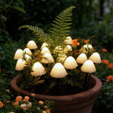 MoonlitMushrooms™ Solar