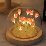 TulipBloom™ Encantamento