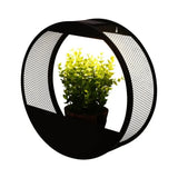 Luz de parede com vaso solar