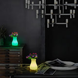 FloraGlow™ Jarra decorativa