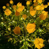 Everbloom™ Luzes Florais
