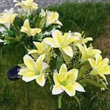 Everbloom™ Luzes Florais