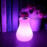 FloraGlow™ Jarra decorativa