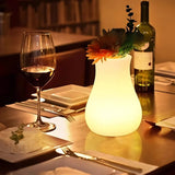 FloraGlow™ Jarra decorativa