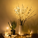 Ramos iluminados