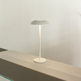 Luminária de ferro elegante