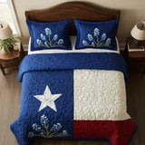 Orgulho do Texas