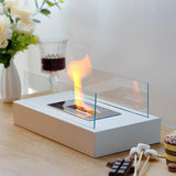 Everlasting Flame™ Lareira