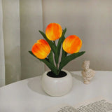 Luz noturna tulipa