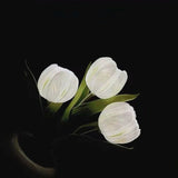 Luz noturna tulipa