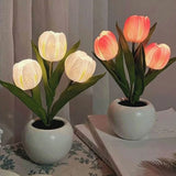 Luz noturna tulipa